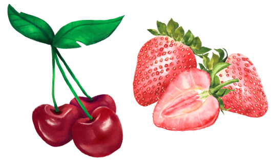 "disegno fragole e ciliegie"